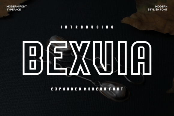 Bexvia Font: Bold Sans Serif for Editorial Design