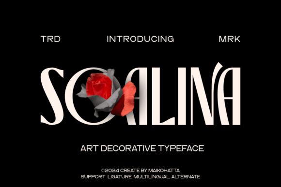 Soalina Font: Elevating Small Business Brand Identity